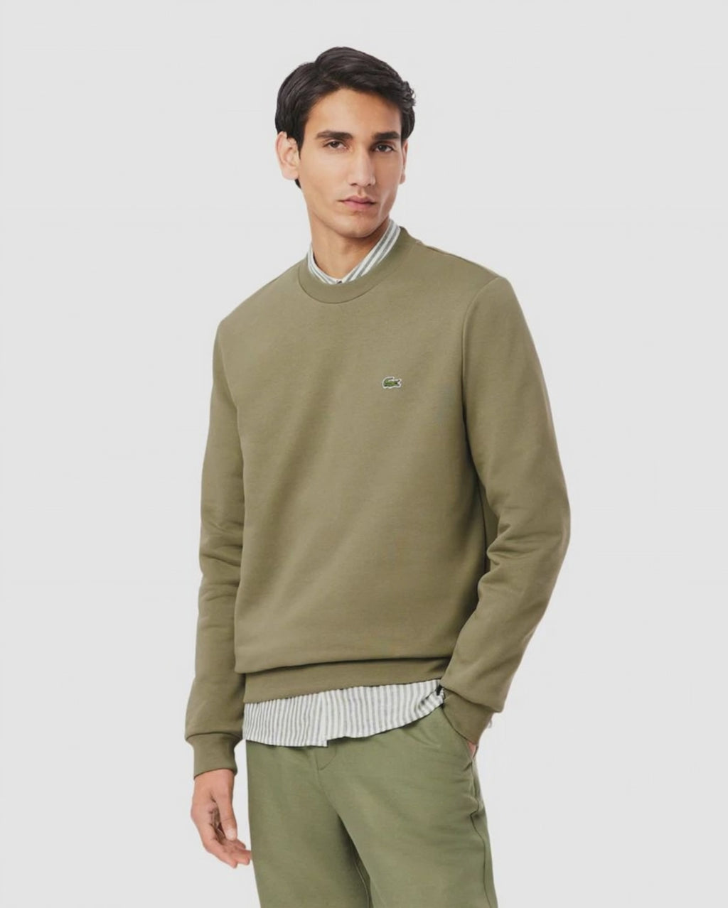 Sweat Lacoste - KAKI